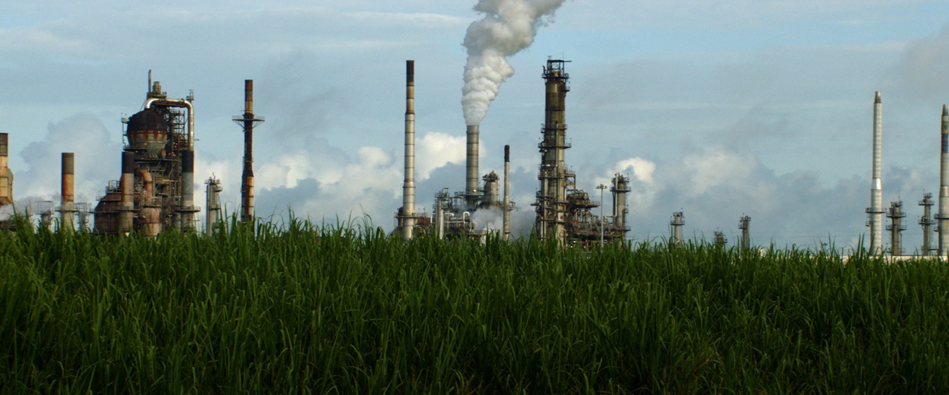 Climate Crisis collection preview