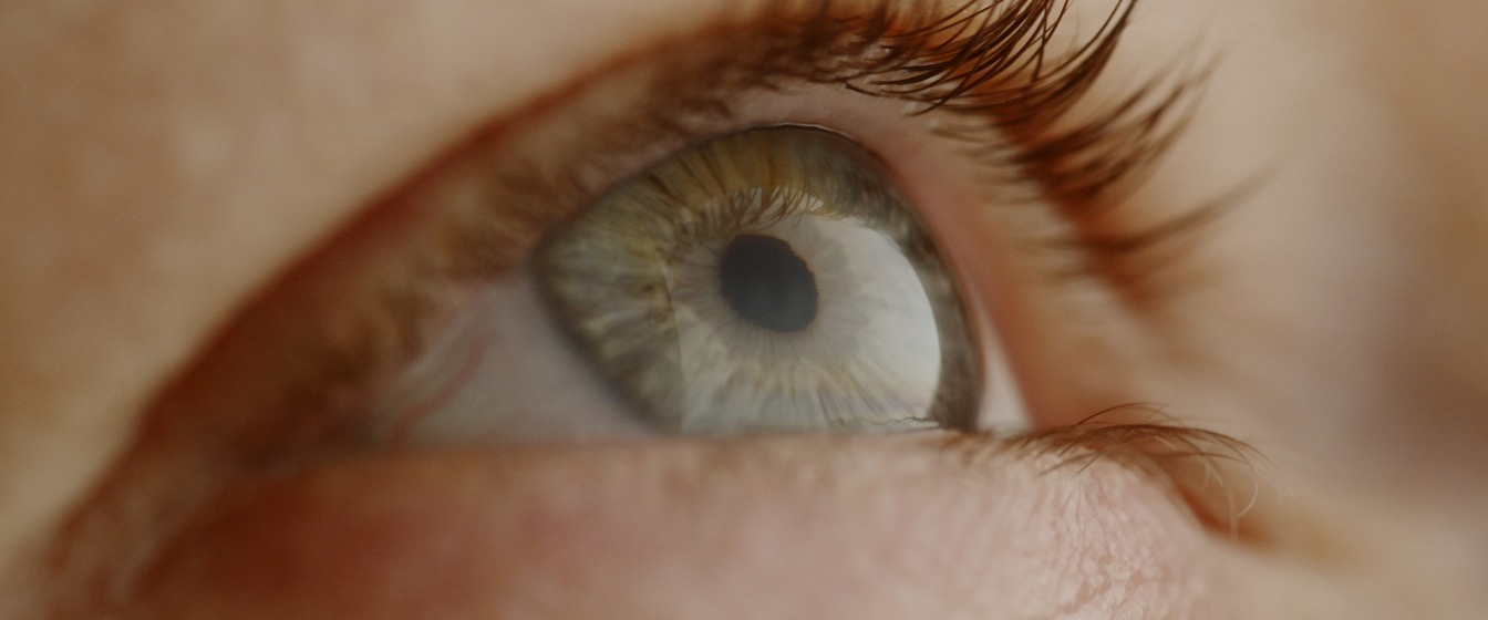 Five Senses collection preview