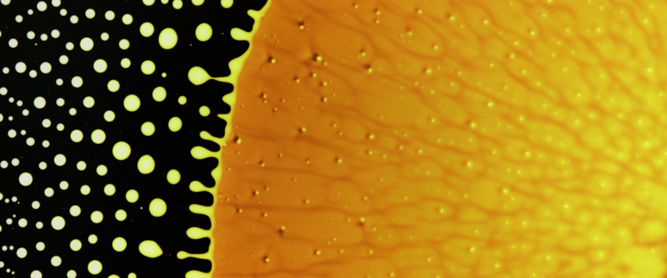 Yellow collection preview